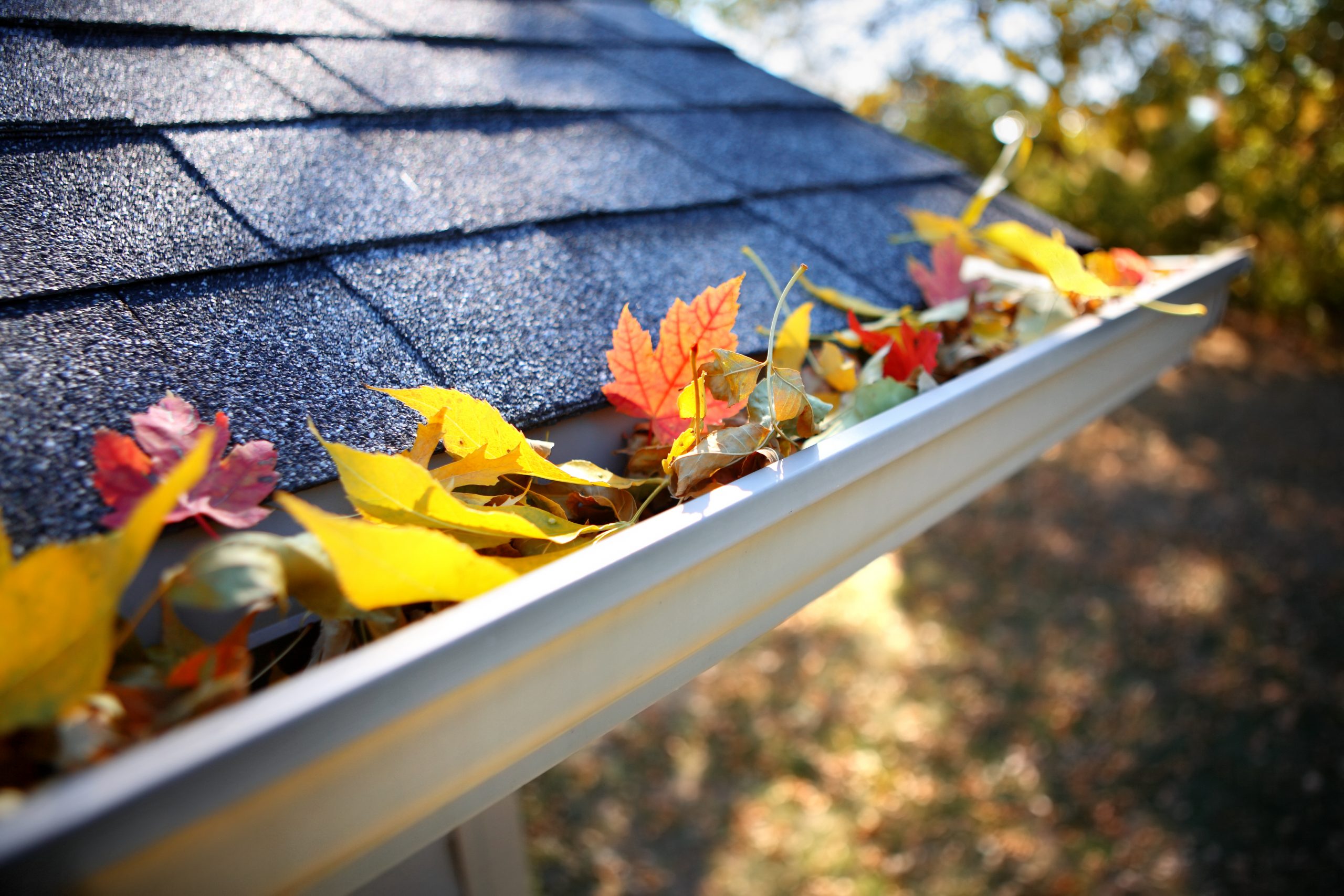 Gutter Cleaning Company in Media, PA